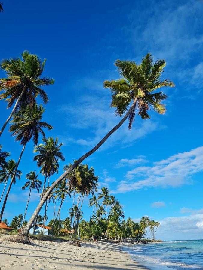 Flat Praia Dos Carneiros Tamandaré Zewnętrze zdjęcie